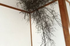 2015_003