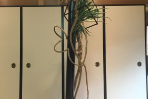 いけばな草月SYC福岡1・3合同華道展_2016