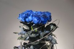 2008-2_002