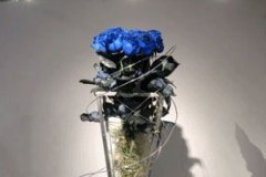 2008-2_003