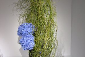 草月展_2011
