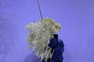 草月展_2022