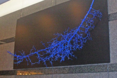 2006_001