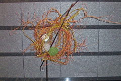 2006_007